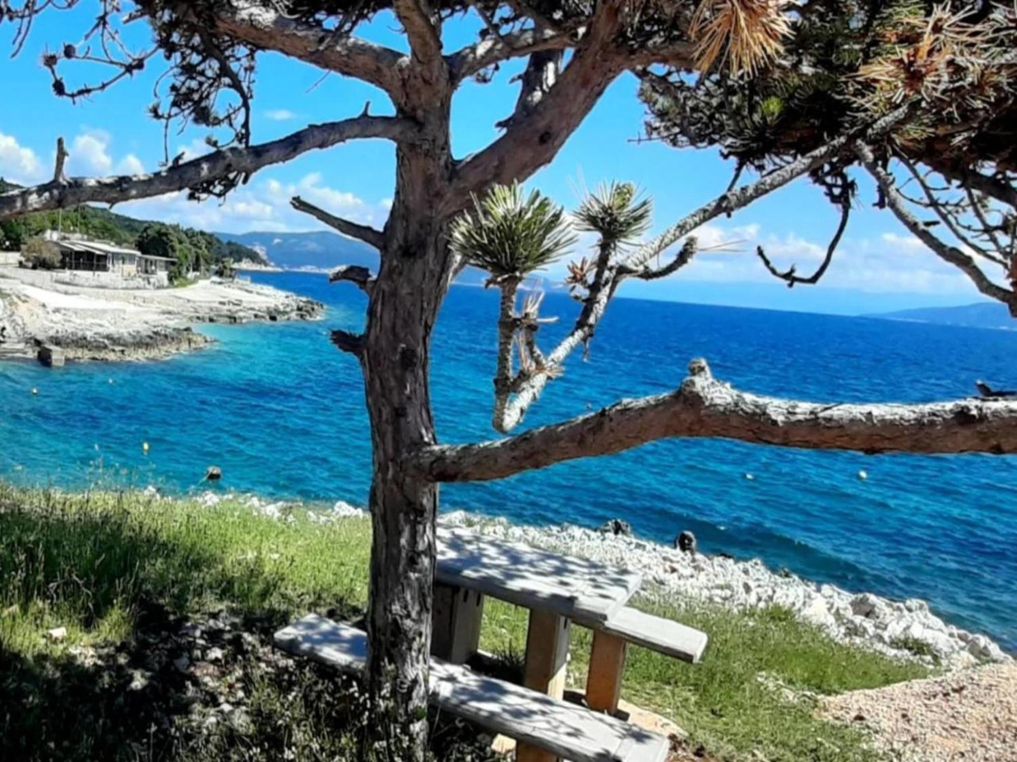 Tranquil Holiday Home In Labin With Private Swimming Pool Dış mekan fotoğraf